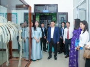 Không gian trưng bày mới của Bảo tàng thiên nhiên duyên hải miền Trung