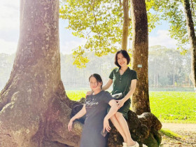  - Đoàn khảo sát phát triển du lịch Vĩnh Long tham quan rừng cây cổ thụ có bộ rễ kỳ lạ