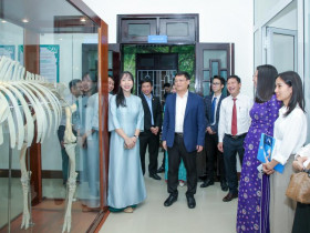 Sự kiện đặc sắc - Không gian trưng bày mới của Bảo tàng thiên nhiên duyên hải miền Trung