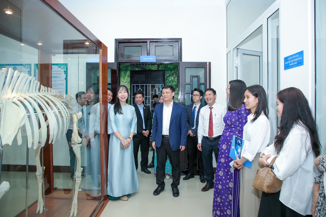 Không gian trưng bày mới của Bảo tàng thiên nhiên duyên hải miền Trung - 1