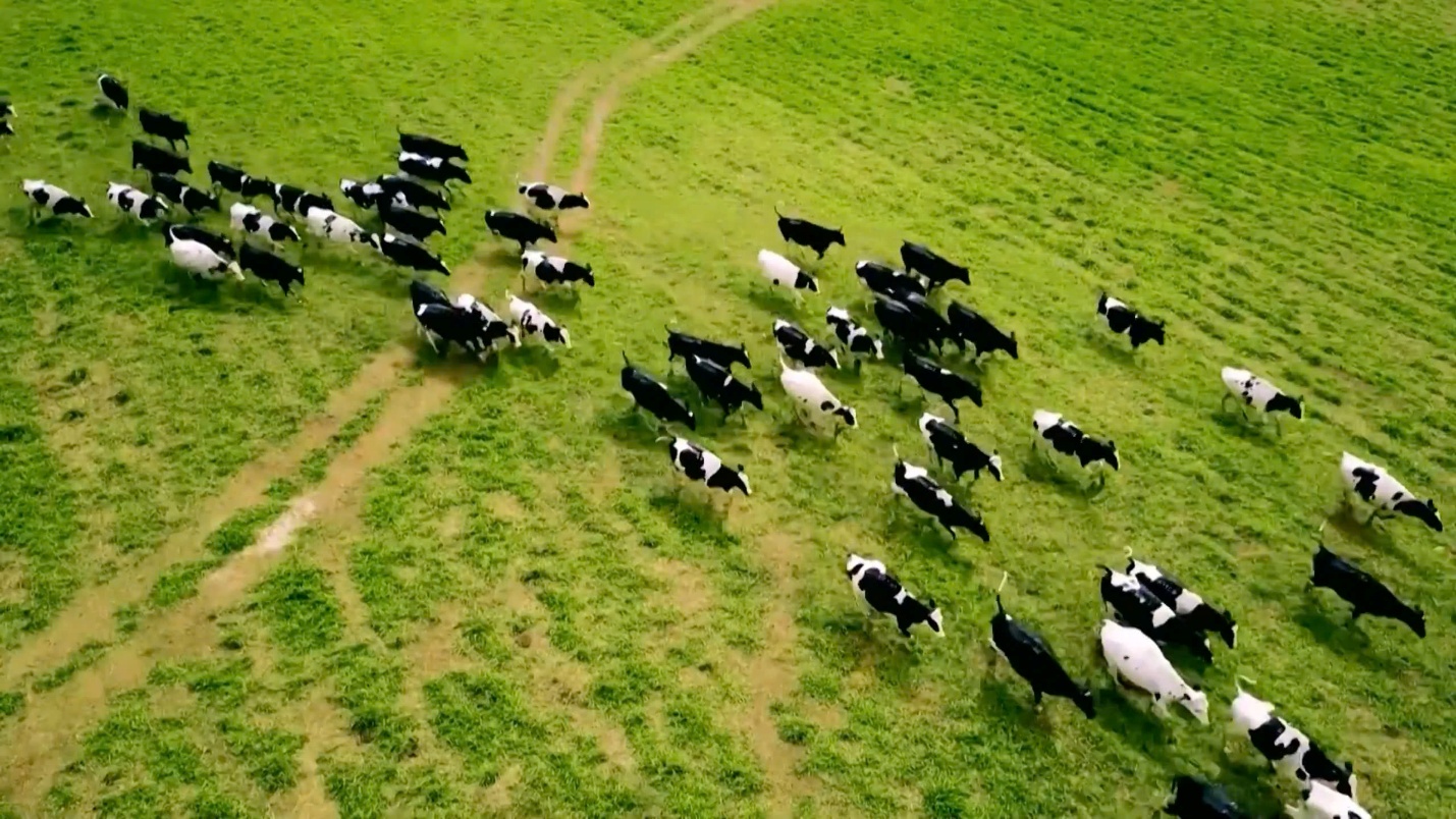 Tập đoàn TH: Phẩm hạnh anh hùng trong kỷ nguyên phát triển mới - 3