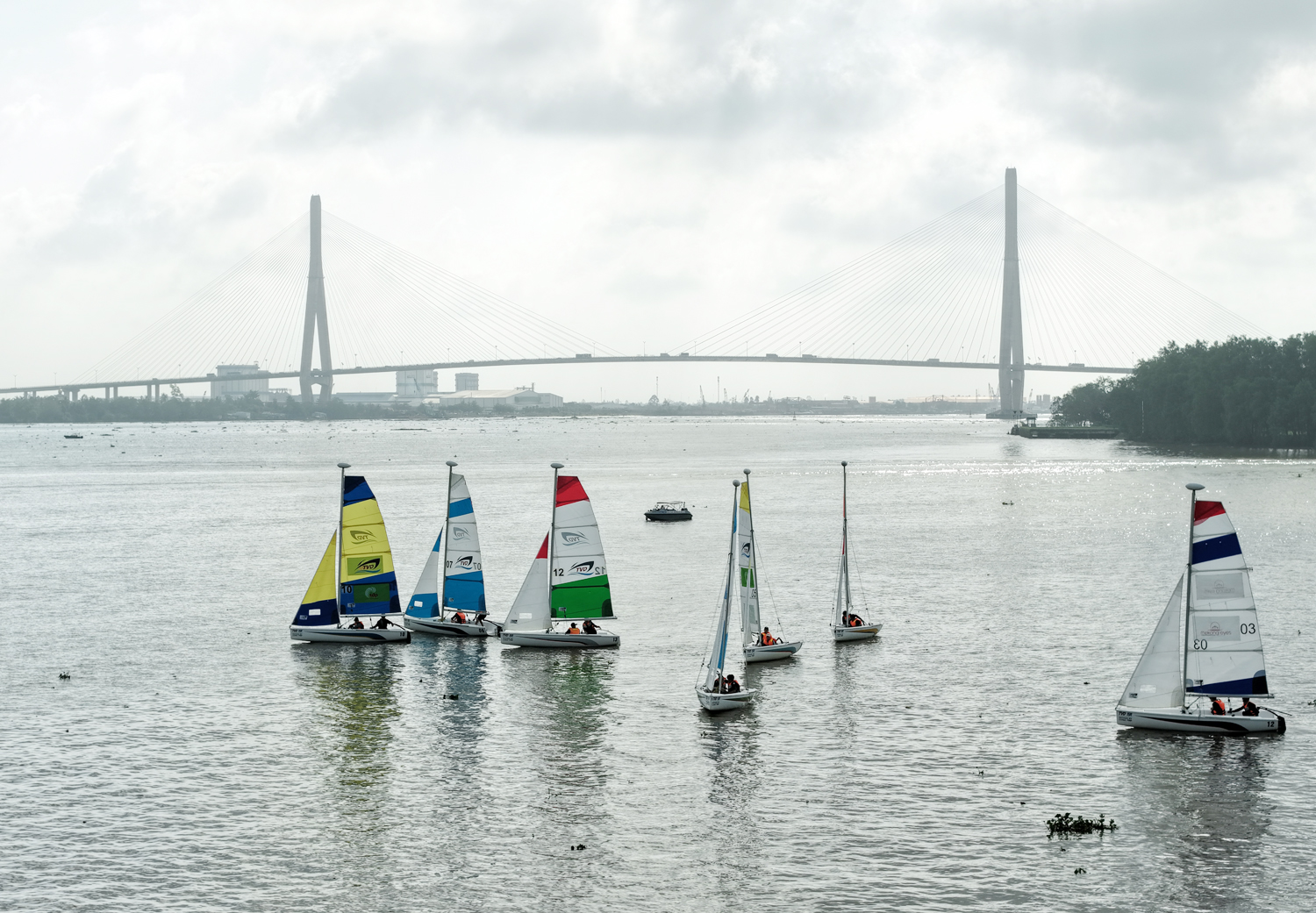 Du khách đổ đến Cần Thơ xem đua thuyền buồm trên sông Hậu - 4