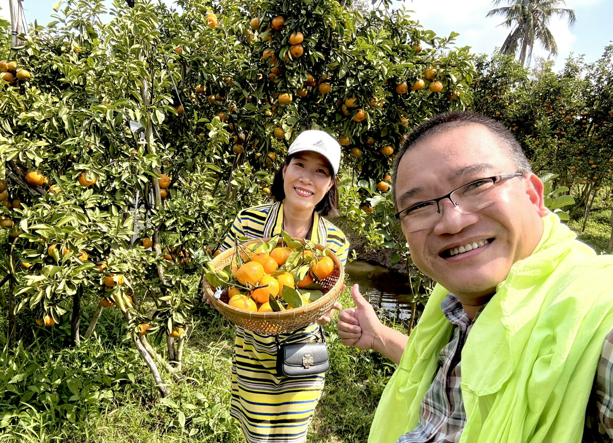 Du khách trải nghiệm cắt quýt hồng ăn tại vườn ở Cần Thơ - 3