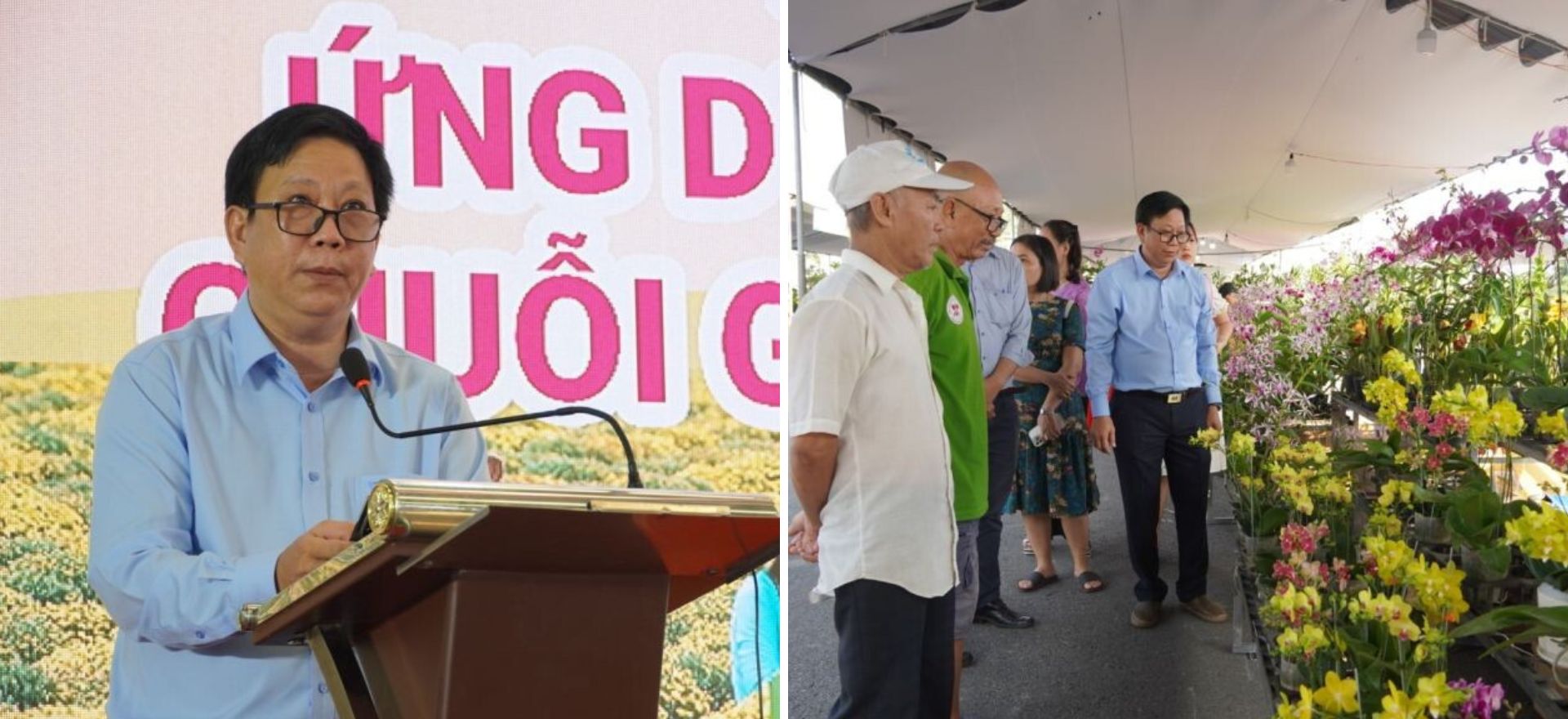 Làng hoa Sa Đéc: Nâng tầm di sản, khát vọng vươn xa cùng du lịch - 5