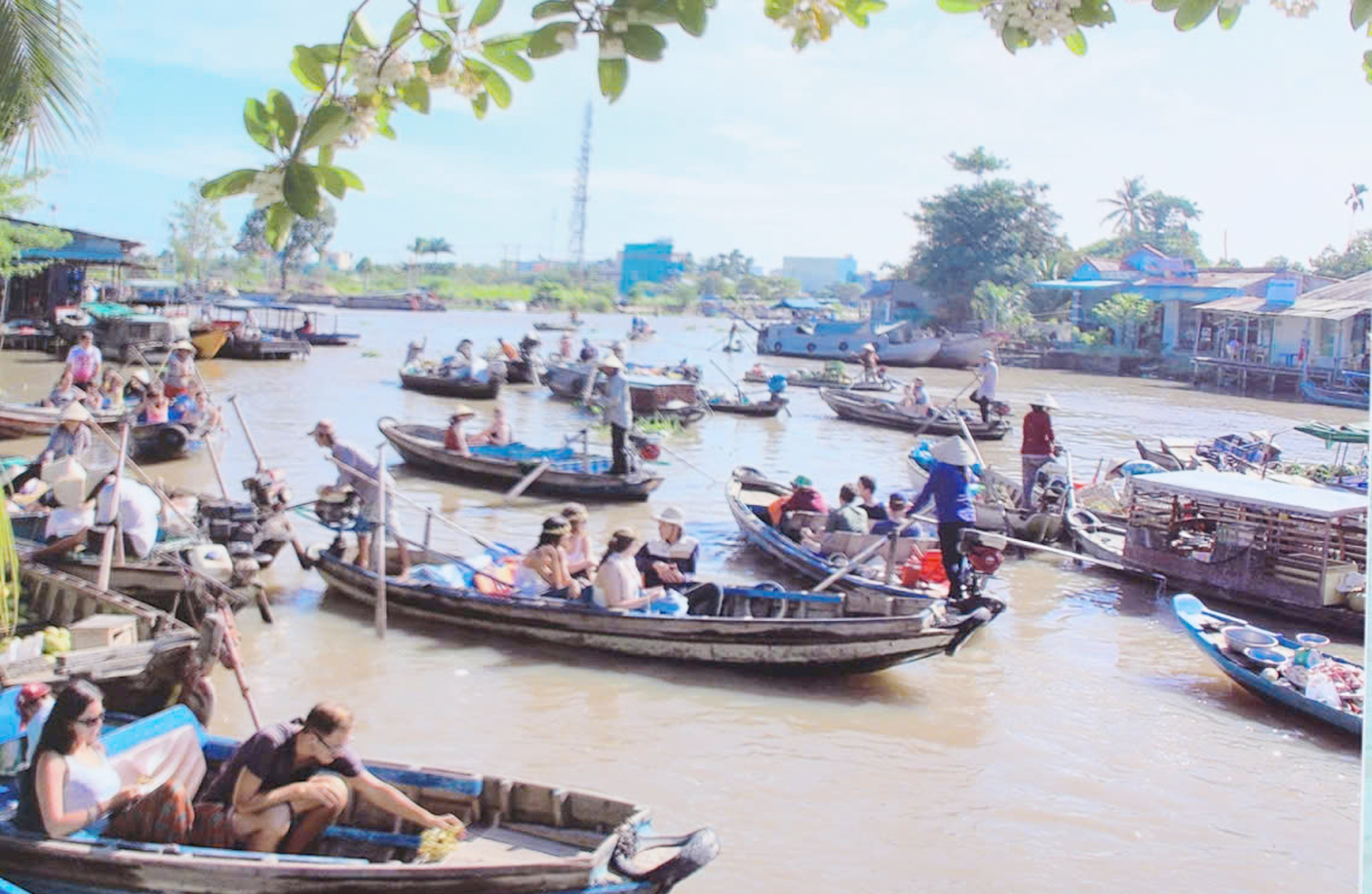 Du khách thưởng ngoạn ‘mạch nguồn’ nuôi dưỡng tâm hồn và cuộc sống của người dân miền Tây - 7