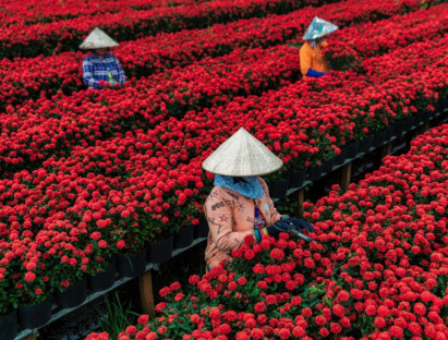 Làng hoa Sa Đéc: Nâng tầm di sản, khát vọng vươn xa cùng du lịch